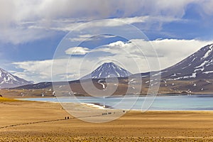 Miscanti Lagoon in the Atacama Desert, Chile