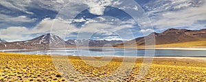 Miscanti Lagoon in the Atacama Desert, Chile