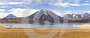 Miscanti Lagoon in the Atacama Desert, Chile