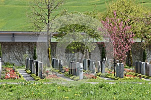 Miscellaneous tombstones lined up in rows in a graveyard or cemetery.