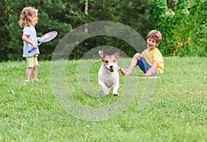 Mischievous evil dog stealing badminton birdie from children playing with rackets on green grass turf