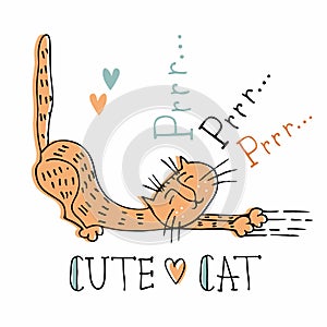 Mischievous red cat sweet style. Vector illustration