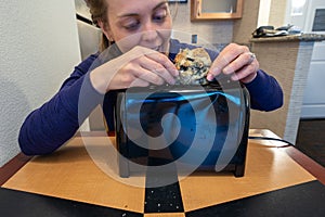 Misguided woman attempts to stuff a large blueberry scone into a small toaster slot, meant for bread