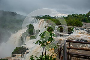 Misiones, Iguazu Fall, Argentina: Iguazu Falls from the Argentina side. Incredible national park with big waterfalls and the evil