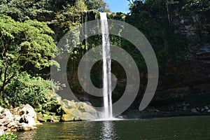 Misol Ha Waterfall Chiapas Mexico