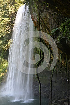 Misol-Ha waterfall, Chiapas, Mexico,