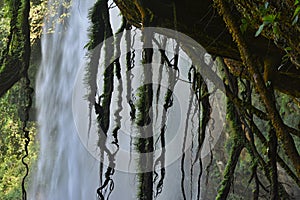 Misol-Ha waterfall, Chiapas, Mexico,