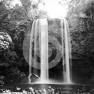 Misol Ha Waterfall Palenque Black and White