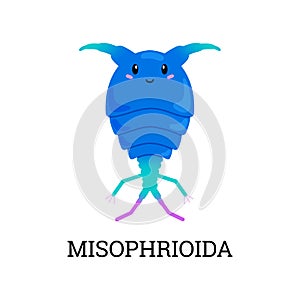 Misophrioida sea plankton organism character flat vector illustration isolated.