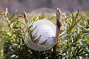 Misplaced Golfball