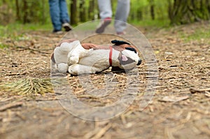 Missing child. Abandoned toy. Loneliness.