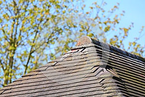 Missing damaged roof tiles