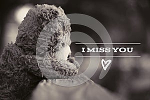 Missing you bear