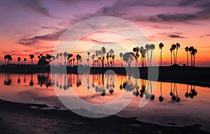 Mission Bay San Diego Sunset