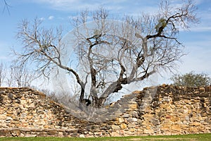 Mission Espada