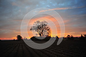 Mississippi Delta, Clarksdale MS Sunrise