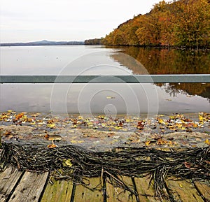 Mississippi River Dock in Fall