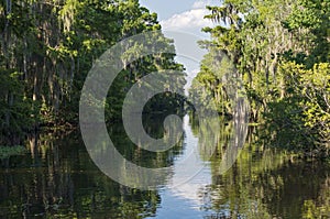 Mississippi River and Forest of Jean Lafitte National Park