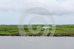 Mississippi River Wetlands, Louisiana photo