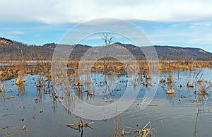 Mississippi River View in the Early Spring