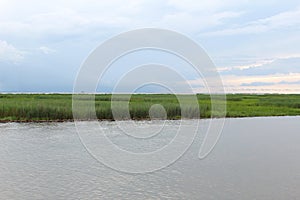 Mississippi River Wetlands, Louisiana