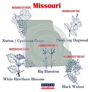 Missouri. Set of USA official state symbols