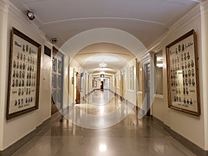 Missouri State capitol inside view Jefferson city MO