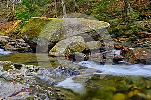 Missy and crystal clear Vermont brook in autumn