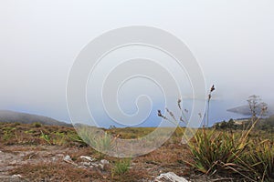 Anggi Gida Lake, Arfak Mountains, Papua photo