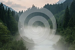 Mist above river and forest
