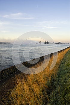 Mist above the river Merwede