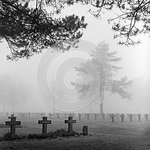 Nebbia cimitero cimitero lapide cupola 