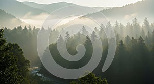 Close-up of a corroded metal surface with a textured patina. The surface exhibits