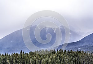 Mist covered majestic mountains with pine tree forest in foreground.