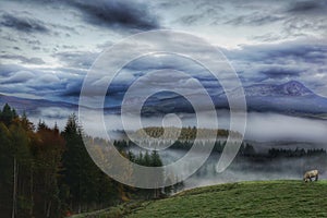 Mist covered valley and mountains