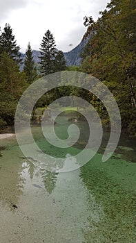 Mist at the crystal clear water at Lake Bohinj, Slovenia photo