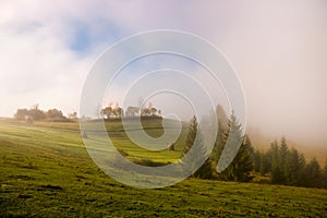 Mist at dawn over the pasture in the Carpathian Mountains.