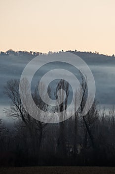 Mist and fog between valley and layers of mountains and hills with bare trees in the foreground