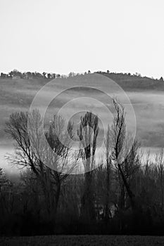 Mist and fog between valley and layers of mountains and hills with bare trees in the foreground