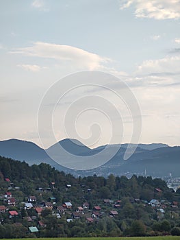 Hmla v lese. Slnečné lúče za stromami.