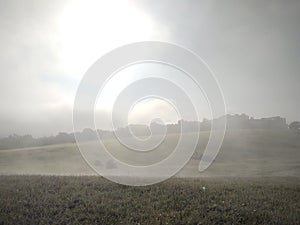 Mist in the forest. Sunrays behind the trees.