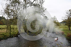 Mist forming over the stream in Derbyshire