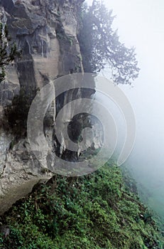Mist hiking path Ethiopian high lands Simean Wollo, Amhara, Ethiopia