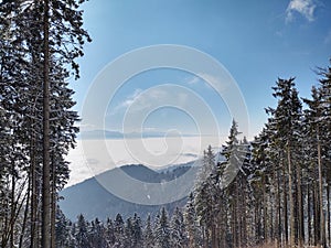 Mist inversion in the woods and mountains during autumn and winter.