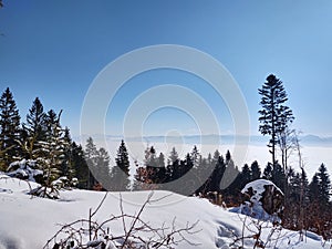 Mist inversion in the woods and mountains during autumn and winter.