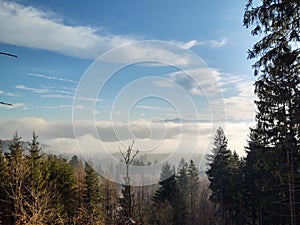 Mist inversion in the woods and mountains during autumn and winter.