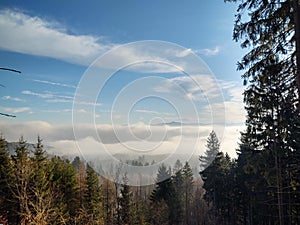 Mist inversion in the woods and mountains during autumn and winter.