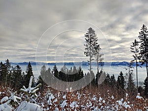 Mist inversion in the woods and mountains during autumn and winter.