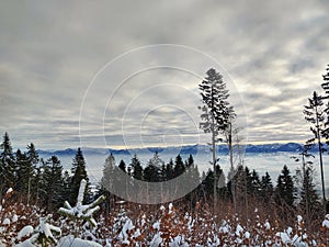 Mist inversion in the woods and mountains during autumn and winter.