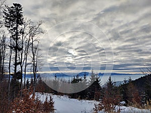 Mist inversion in the woods and mountains during autumn and winter.